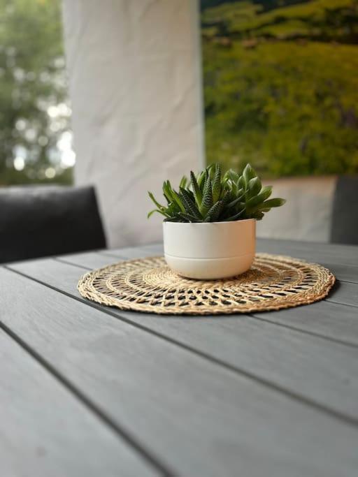 Ferienappartement Schwarzwaldeck In Todtnauberg Exteriör bild