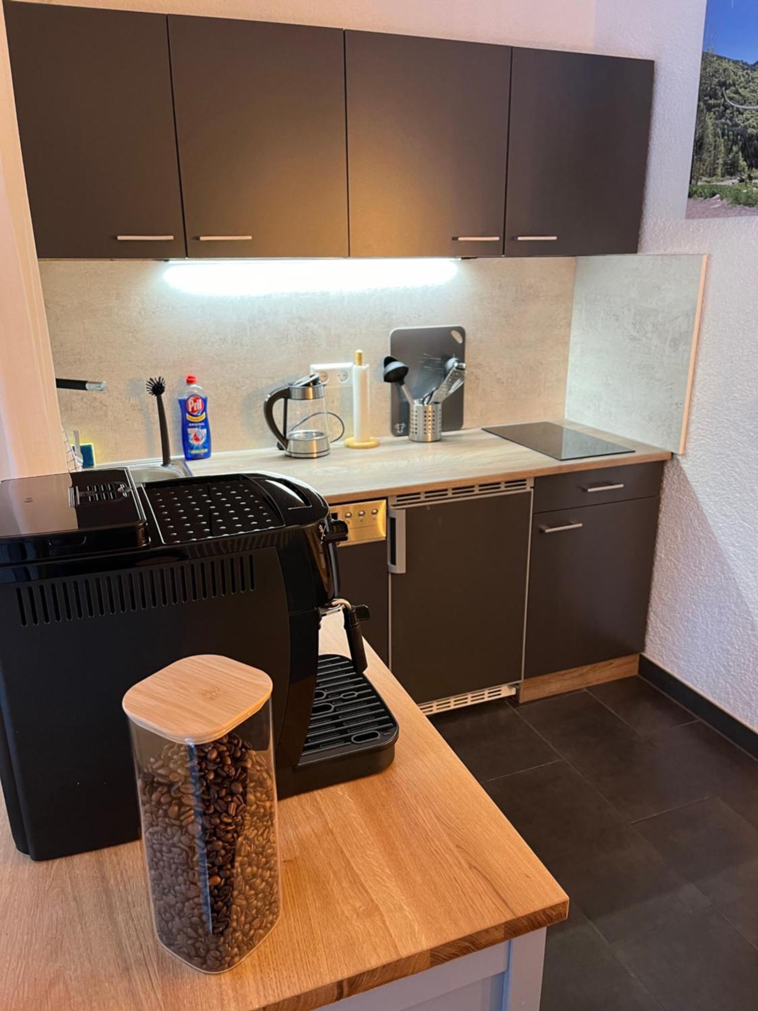 Ferienappartement Schwarzwaldeck In Todtnauberg Exteriör bild